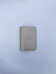 Metallic Silver Basic Passport Cover